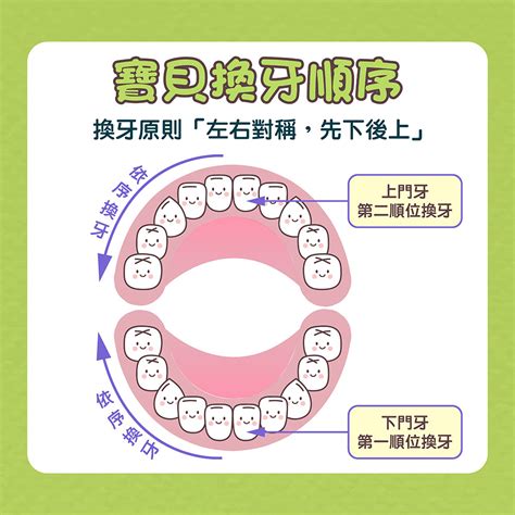 大牙會換牙嗎|【換牙順序】小朋友幾歲換牙正常？一文睇換牙。